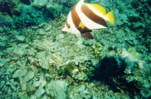 2001-015