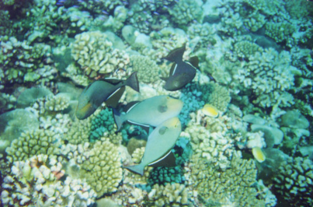 2001-016
