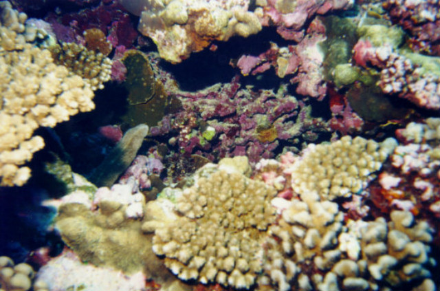 2001-017