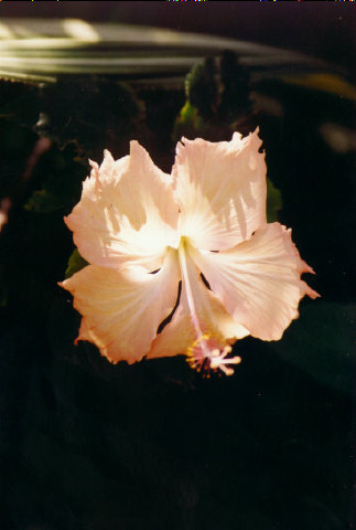 2001-058