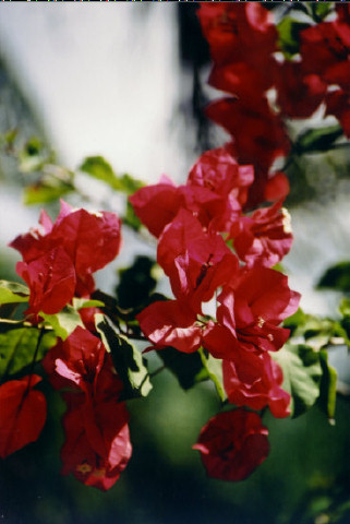 2001-059