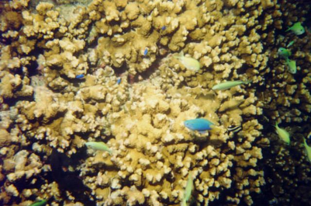 2001-061