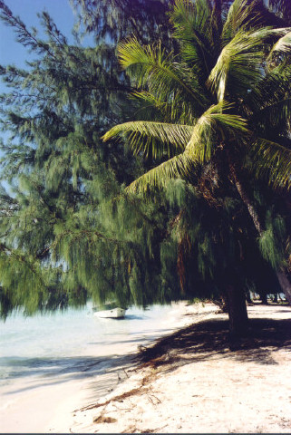 2001-067